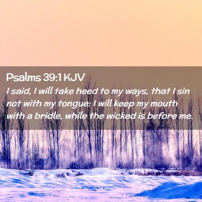 Picture 02 - Psalms 39:1 KJV - I said, I will take heed to my ways, that I sin - Bible Verse Picture