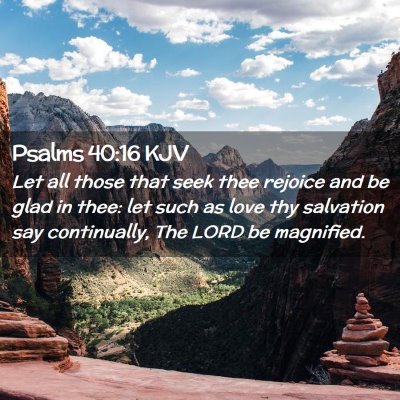 Picture 02 - Psalms 40:16 KJV - Let all those that seek thee rejoice and be glad - Bible Verse Picture