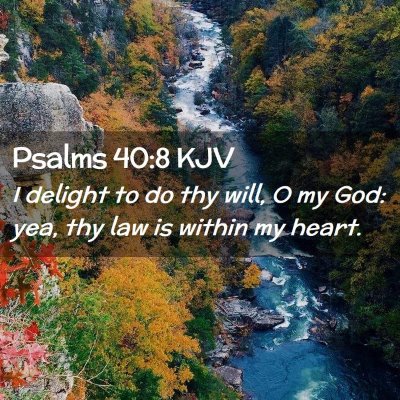 Picture 02 - Psalms 40:8 KJV - I delight to do thy will, O my God: yea, thy law - Bible Verse Picture