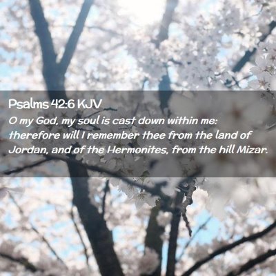 Picture 02 - Psalms 42:6 KJV - O my God, my soul is cast down within me: - Bible Verse Picture