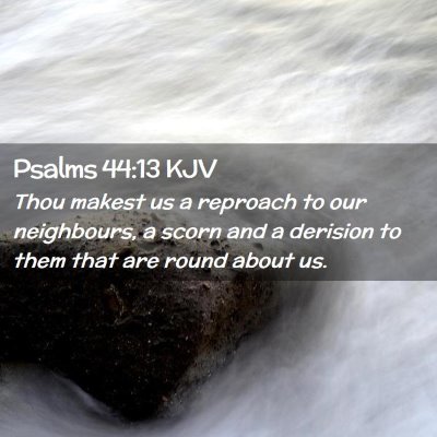 Picture 02 - Psalms 44:13 KJV - Thou makest us a reproach to our neighbours, a - Bible Verse Picture