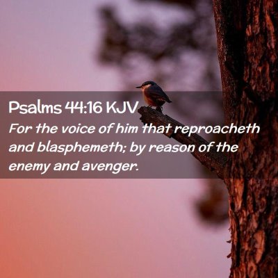 Picture 02 - Psalms 44:16 KJV - For the voice of him that reproacheth and - Bible Verse Picture