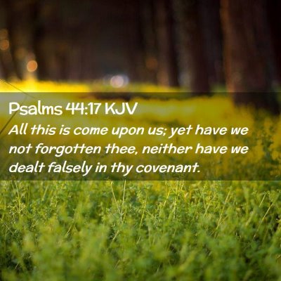 Picture 02 - Psalms 44:17 KJV - All this is come upon us; yet have we not - Bible Verse Picture