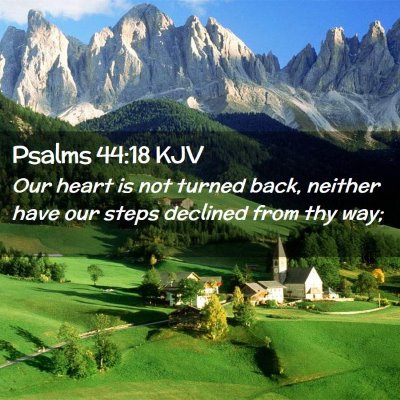 Picture 02 - Psalms 44:18 KJV - Our heart is not turned back, neither have our - Bible Verse Picture
