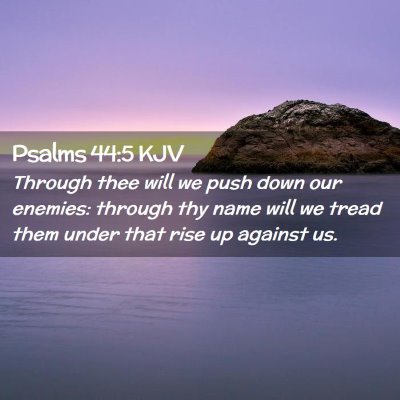 Picture 02 - Psalms 44:5 KJV - Through thee will we push down our enemies: - Bible Verse Picture