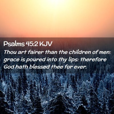 Picture 02 - Psalms 45:2 KJV - Thou art fairer than the children of men: grace - Bible Verse Picture