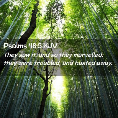 Picture 02 - Psalms 48:5 KJV - They saw it, and so they marvelled; they were - Bible Verse Picture