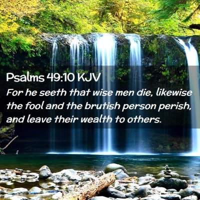 Picture 02 - Psalms 49:10 KJV - For he seeth that wise men die, likewise the fool - Bible Verse Picture
