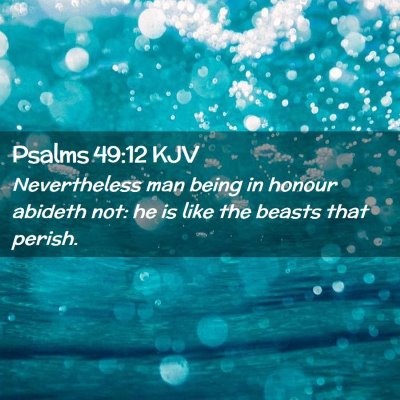Picture 02 - Psalms 49:12 KJV - Nevertheless man being in honour abideth not: he - Bible Verse Picture