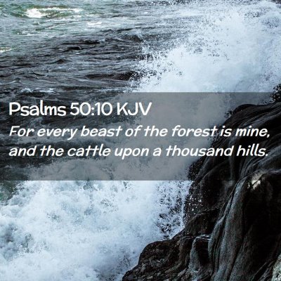 Picture 02 - Psalms 50:10 KJV - For every beast of the forest is mine, and the - Bible Verse Picture