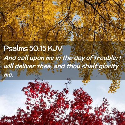 Picture 02 - Psalms 50:15 KJV - And call upon me in the day of trouble: I will - Bible Verse Picture