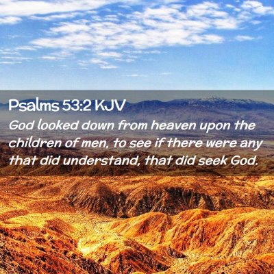 Picture 02 - Psalms 53:2 KJV - God looked down from heaven upon the children of - Bible Verse Picture