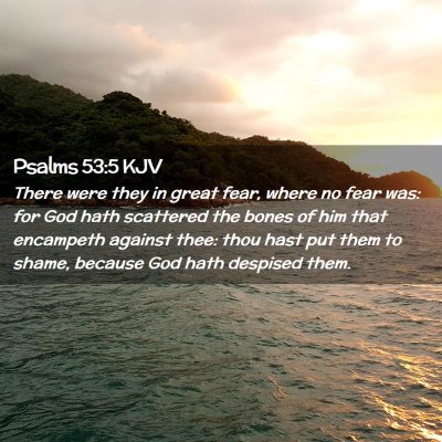 Picture 02 - Psalms 53:5 KJV - There were they in great fear, where no fear was: - Bible Verse Picture