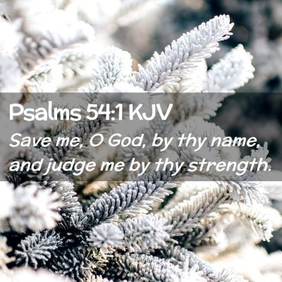 Picture 02 - Psalms 54:1 KJV - Save me, O God, by thy name, and judge me by thy - Bible Verse Picture