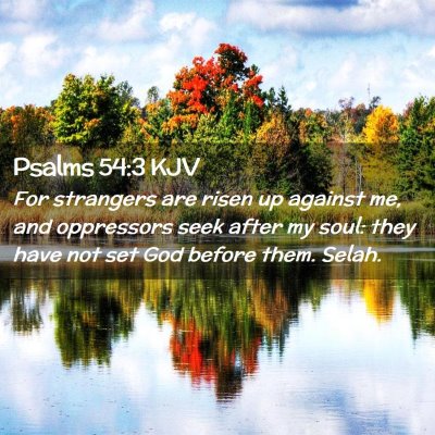 Picture 02 - Psalms 54:3 KJV - For strangers are risen up against me, and - Bible Verse Picture