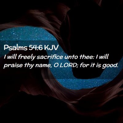 Picture 02 - Psalms 54:6 KJV - I will freely sacrifice unto thee: I will praise - Bible Verse Picture