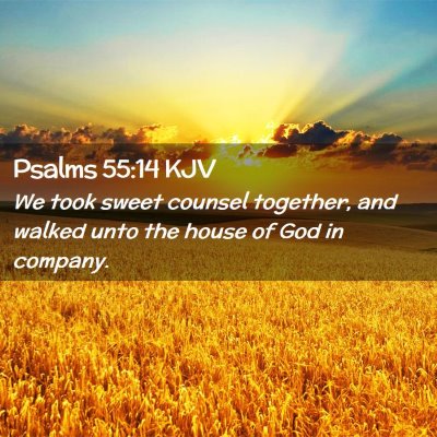 Picture 02 - Psalms 55:14 KJV - We took sweet counsel together, and walked unto - Bible Verse Picture