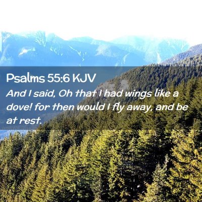Picture 02 - Psalms 55:6 KJV - And I said, Oh that I had wings like a dove! for - Bible Verse Picture