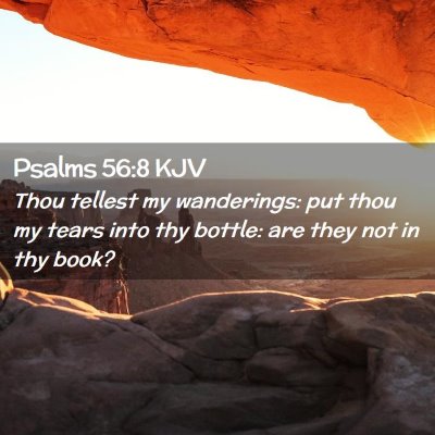Picture 02 - Psalms 56:8 KJV - Thou tellest my wanderings: put thou my tears - Bible Verse Picture