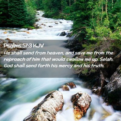 Picture 02 - Psalms 57:3 KJV - He shall send from heaven, and save me from the - Bible Verse Picture
