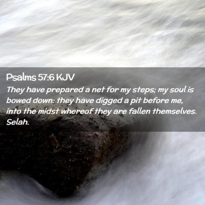 Picture 02 - Psalms 57:6 KJV - They have prepared a net for my steps; my soul is - Bible Verse Picture