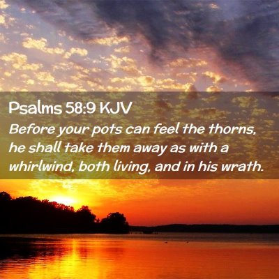 Picture 02 - Psalms 58:9 KJV - Before your pots can feel the thorns, he shall - Bible Verse Picture