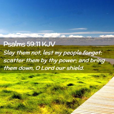 Picture 02 - Psalms 59:11 KJV - Slay them not, lest my people forget: scatter - Bible Verse Picture