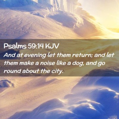 Picture 02 - Psalms 59:14 KJV - And at evening let them return; and let them make - Bible Verse Picture