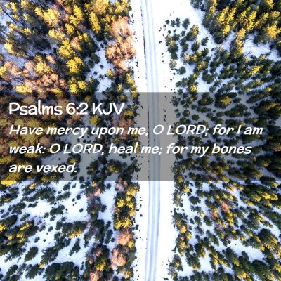 Picture 02 - Psalms 6:2 KJV - Have mercy upon me, O LORD; for I am weak: O - Bible Verse Picture