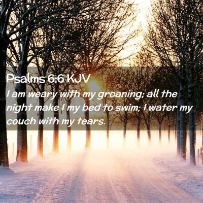 Picture 02 - Psalms 6:6 KJV - I am weary with my groaning; all the night make I - Bible Verse Picture