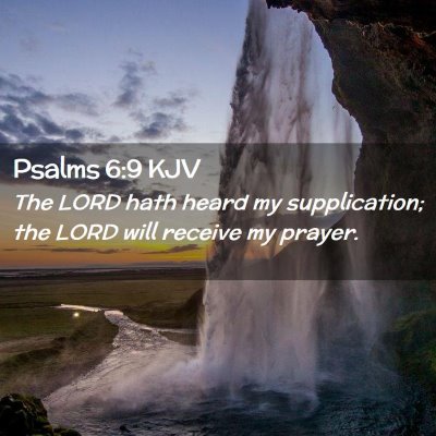 Picture 02 - Psalms 6:9 KJV - The LORD hath heard my supplication; the LORD - Bible Verse Picture