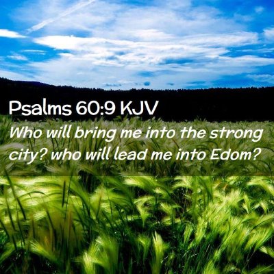 Picture 02 - Psalms 60:9 KJV - Who will bring me into the strong city? who will - Bible Verse Picture