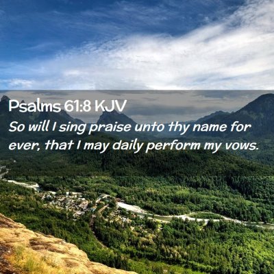 Picture 02 - Psalms 61:8 KJV - So will I sing praise unto thy name for ever, - Bible Verse Picture