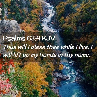Picture 02 - Psalms 63:4 KJV - Thus will I bless thee while I live: I will lift - Bible Verse Picture