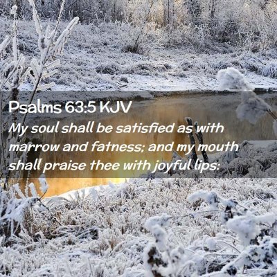 Picture 02 - Psalms 63:5 KJV - My soul shall be satisfied as with marrow and - Bible Verse Picture