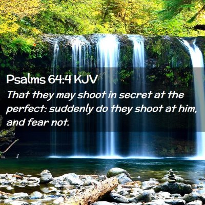 Picture 02 - Psalms 64:4 KJV - That they may shoot in secret at the perfect: - Bible Verse Picture
