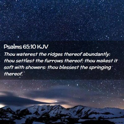Picture 02 - Psalms 65:10 KJV - Thou waterest the ridges thereof abundantly: thou - Bible Verse Picture