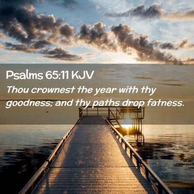 Picture 02 - Psalms 65:11 KJV - Thou crownest the year with thy goodness; and thy - Bible Verse Picture