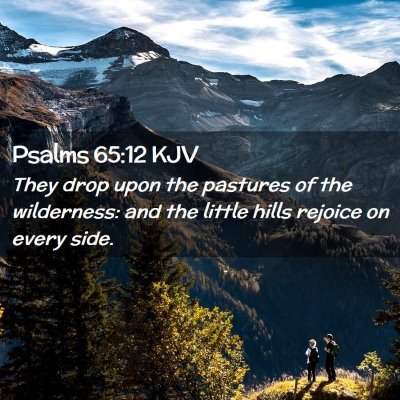 Picture 02 - Psalms 65:12 KJV - They drop upon the pastures of the wilderness: - Bible Verse Picture