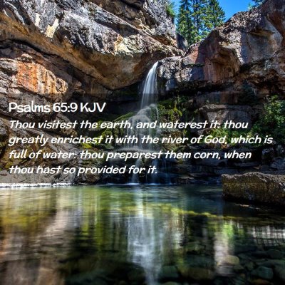 Picture 02 - Psalms 65:9 KJV - Thou visitest the earth, and waterest it: thou - Bible Verse Picture
