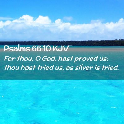 Picture 02 - Psalms 66:10 KJV - For thou, O God, hast proved us: thou hast tried - Bible Verse Picture