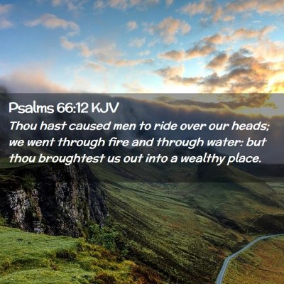 Picture 02 - Psalms 66:12 KJV - Thou hast caused men to ride over our heads; we - Bible Verse Picture