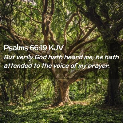 Picture 02 - Psalms 66:19 KJV - But verily God hath heard me; he hath attended to - Bible Verse Picture