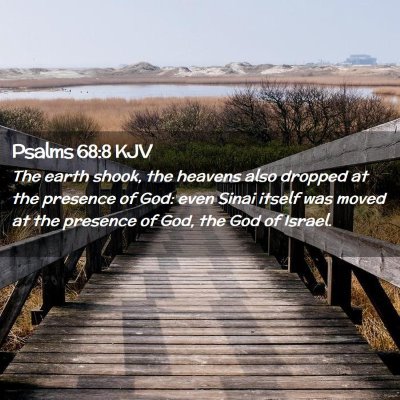 Picture 02 - Psalms 68:8 KJV - The earth shook, the heavens also dropped at the - Bible Verse Picture