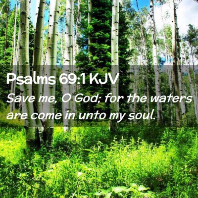 Picture 02 - Psalms 69:1 KJV - Save me, O God; for the waters are come in unto - Bible Verse Picture
