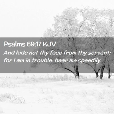 Picture 02 - Psalms 69:17 KJV - And hide not thy face from thy servant; for I am - Bible Verse Picture