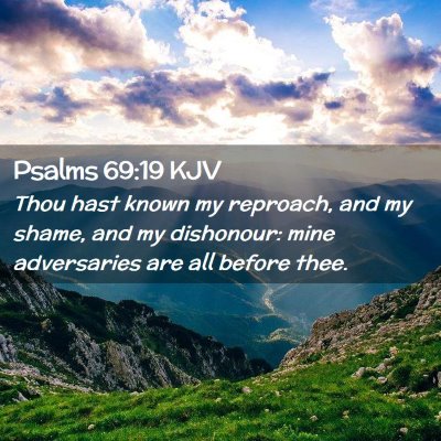 Picture 02 - Psalms 69:19 KJV - Thou hast known my reproach, and my shame, and my - Bible Verse Picture