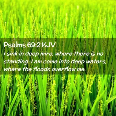 Picture 02 - Psalms 69:2 KJV - I sink in deep mire, where there is no standing: - Bible Verse Picture