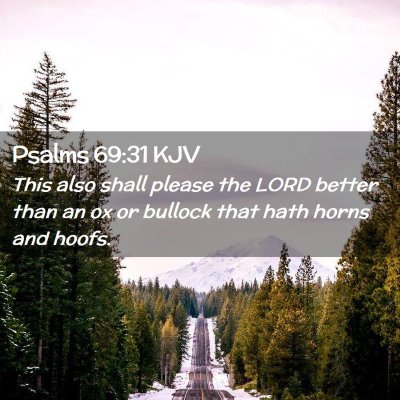 Picture 02 - Psalms 69:31 KJV - This also shall please the LORD better than an ox - Bible Verse Picture
