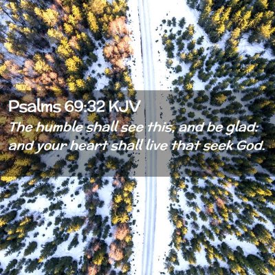 Picture 02 - Psalms 69:32 KJV - The humble shall see this, and be glad: and your - Bible Verse Picture